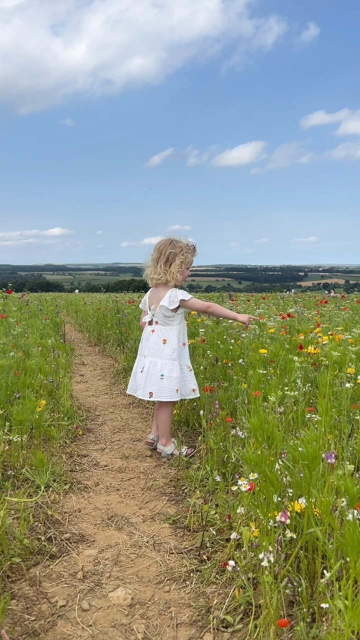 An afternoon of flower picking with my two babies yesterday at @theflowerbelt in Helmsley, perfection 🌻 🌺 🌷 🪻🌹🌾💐🌿

#theyorkshirelifestyle #travel #unitedkingdon #uktravel #northyorkshire #yorkshire #familyday #summeractivity #thingstodowithkids #familyactivities #kidsactivities #mumhack #summer #yorkshirevillage #flowerpicking #wildflowers #helmsley #daughterdate