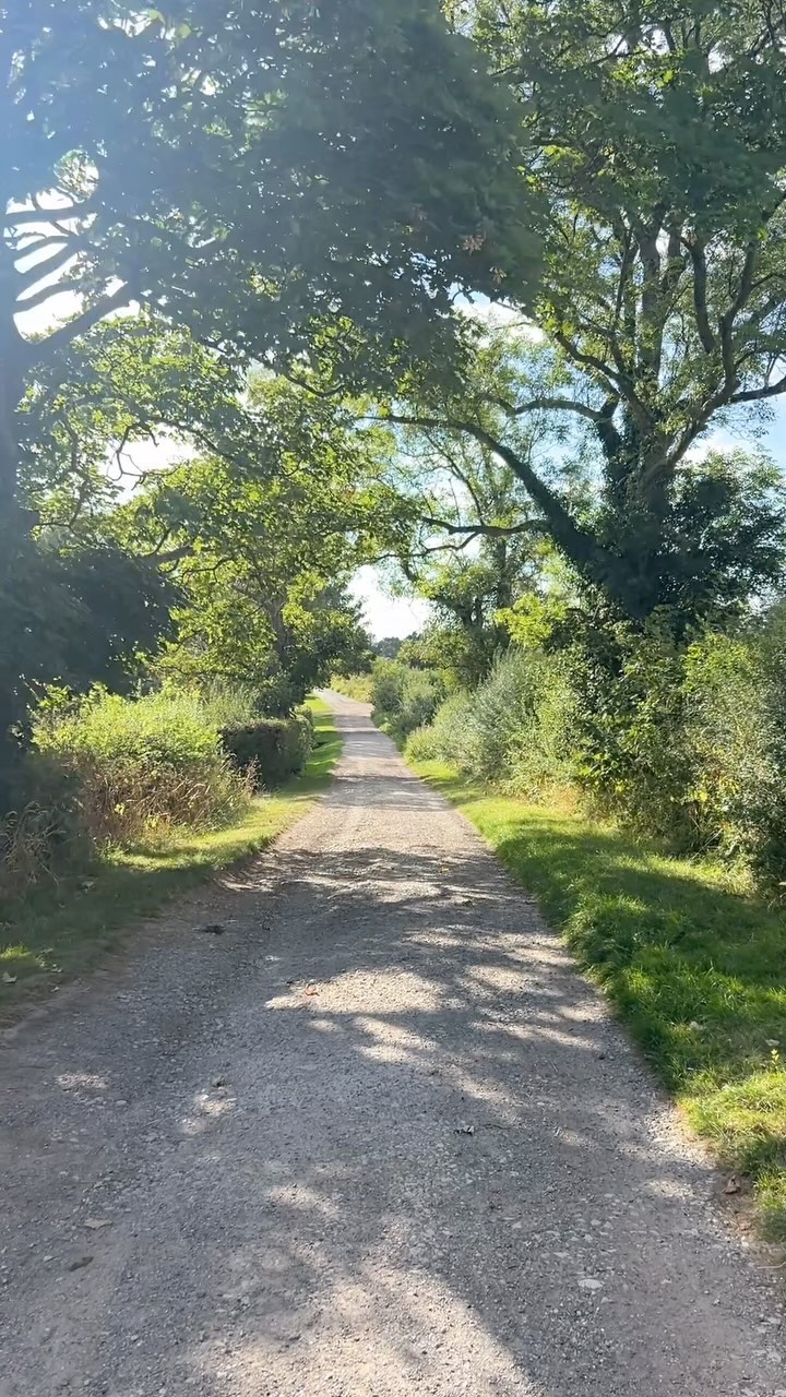 An afternoon stroll to see the horses after a morning of gymnastics 🤸 🐎 

#theyorkshirelifestyle #travel #unitedkingdon #uktravel #northyorkshire #theyorkshirelifestyle #yorkshire #northyorkshire #familyday #summeractivity #thingstodowithkids #familyactivities #kidsactivities #mumhack #summer #yorkshirevillage #horses #walking #familywalk